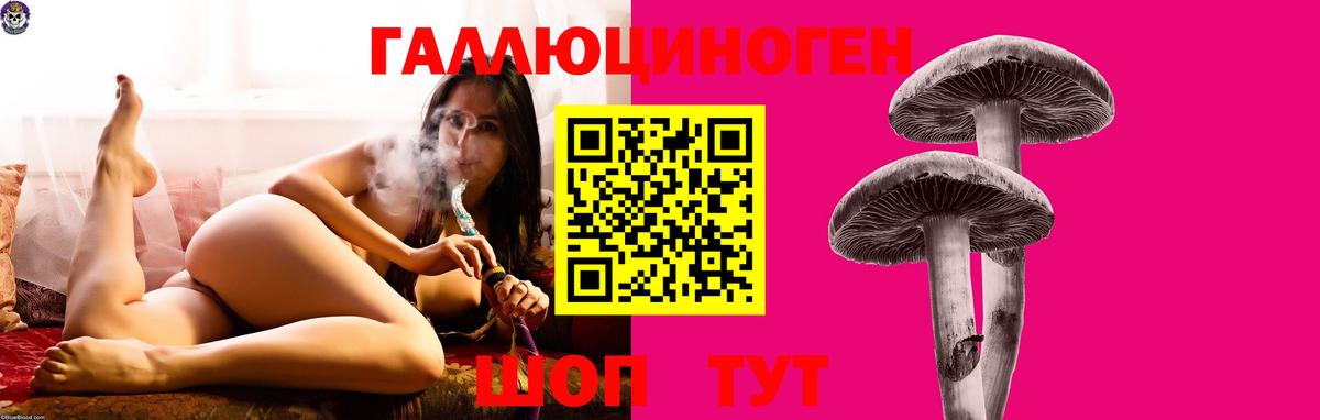 Галлюциногенные грибы Psilocybine cubensis Гагарин